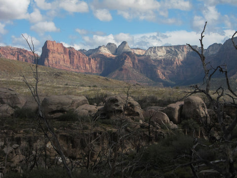 zion np at sunset