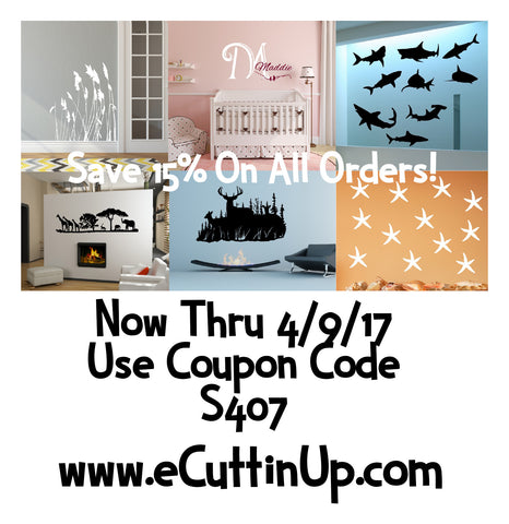 coupon code 4-17