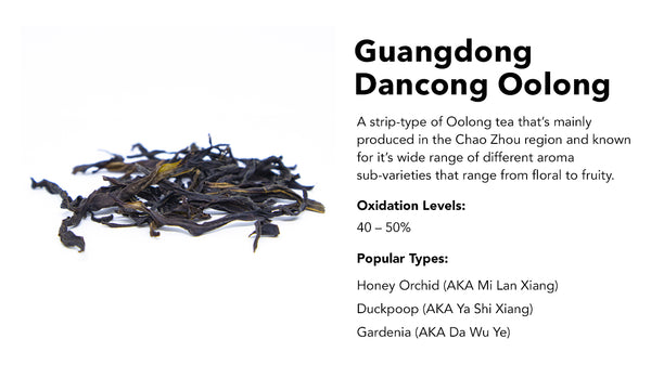 Guangdong Dancong Oolong tea