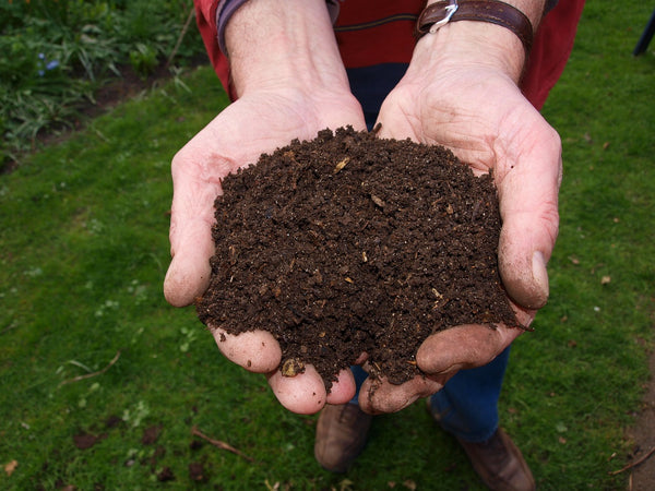 We, gardeners, are always on the lookout for new garden hacks to spice up things here and there in our gardens. Below are 5 garden hacks from Wonderland Gardens that every gardener will find useful. Presoak to speed up germination Different seeds have a different germination rate, not because their embryos vary but because their shells have varying water-resistance. All that seeds need to activate and grow is some water to reach their embryos. Now, to jump-start the germination, all you do is presoak your seeds for up to 24 hours. However, you must be careful not to soak them for too long as they might rot. Presoaking helps in breaking the water-resistant coat/ dormancy and the seeds swell and the embryo begins to plump up. But, be sure not to soak seeds that germinate better in cool/cold temperatures in warm water and vice versa.  Used coffee grounds in your compost pile, as fertilizer and as an insecticide You don’t have to throw away the used coffee grounds because they might be very useful in your garden. First, coffee grounds are very rich in nitrogen, and as such, they make a great addition to your compost pile because they speed up the composting process by breaking down the organic items in the compost pile. Again, the coffee grounds mask the unpleasant smell that comes from the pile.  Second, used coffee grounds make a good fertilizer thanks to the abundance of nitrogen. And, just to note, used coffee grounds are not acidic. The acid present in coffee beans is water soluble thus it goes to the coffee itself leaving the grounds acid-free.  Again, you don’t have to go for harsh chemicals when dealing with pests in your garden. All you need is coffee grounds because most pests, including slugs, can’t stand it. Plus, this will even be more advantageous if you have acid-loving plants because as mentioned above, unused coffee grounds have water-soluble acid which will end up in the soil with time.  Use leftover beer or Clarified neem oil to kill snugs For neem tree, buy it in concentrated form then dilute it yourself following the recommended dilution rates on the bottles. Neem will repel all types of insects including thrips and aphids. What makes it even a better option is that there is no harm in eating plants that have been sprayed with neem. The other option is to use leftover beer in your garden to attract then kill snugs. All you need is beer in containers placed in various spots in your garden, and it will attract snugs then kill them once they crawl in.  Use an old milk jug as a makeshift watering can A good garden hose can help a great deal, especially when watering large lawns. However, there are times when a watering can is more ideal. The good news is that you don’t have to buy one if you have an old milk jug because all you do is drill a few holes on the lid and voila! Also, this will be a great way to save water because you will have a better control of how much goes where. However, this will only work for simple watering tasks.  Use disposable diapers to retain moisture in your potted plants Another great garden hack is laying diapers in your potted plants to retain moisture longer. This is especially helpful during the overly dry/warmer weather where pots require frequent irrigation. They are a great alternative to water retention crystals because they too contain hydrogel.