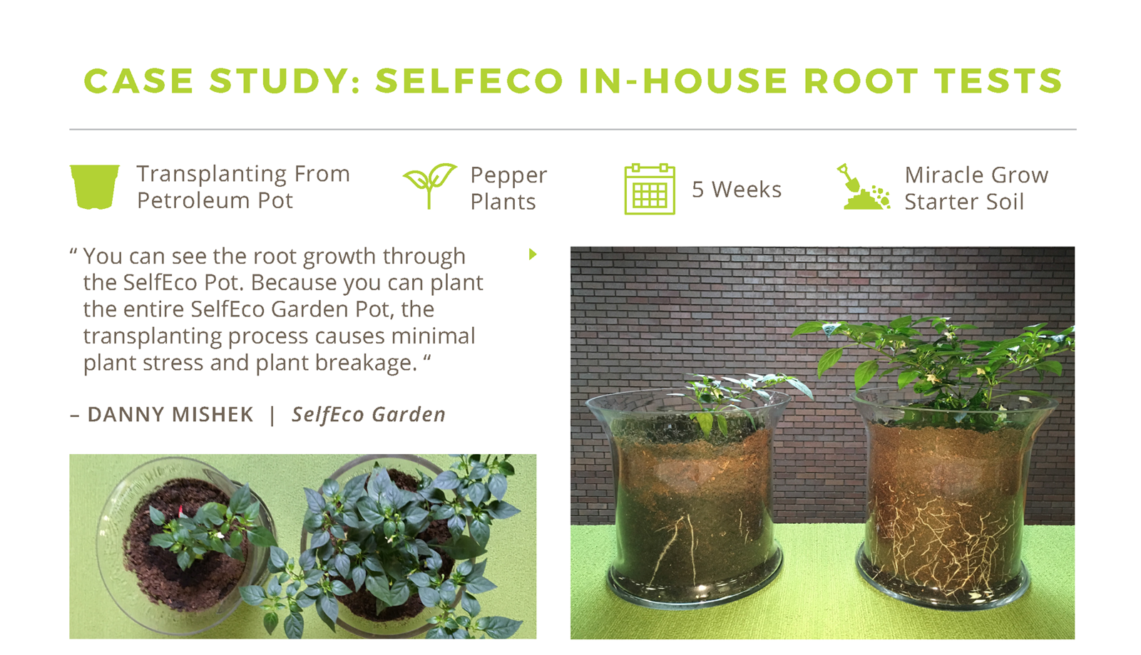 SelfEco Garden Results Sheet: In-House Root Tests