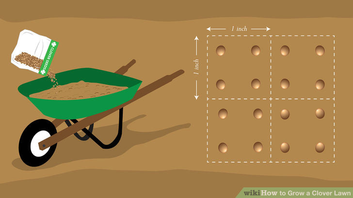 In a wheelbarrow, mix the seed with garden soil or tri-mix.