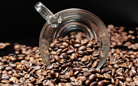 arabica coffee beans