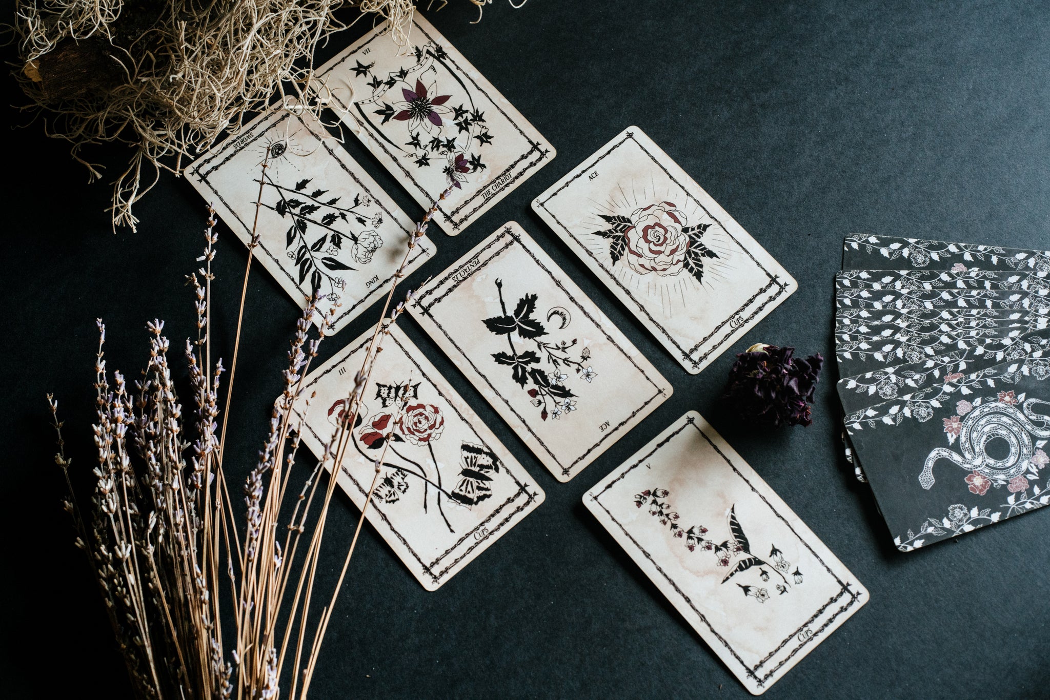 Shop Portland Local Altar PDX Northwest Handmade Independent Artists Tarot Cards Deck Ophidia Rosa Leila & Olive Spreads Magic Paganism Arcana Gothic Boho Chic Witch Fortune Telling Predictions Minimalist Floral Spiritual Blog