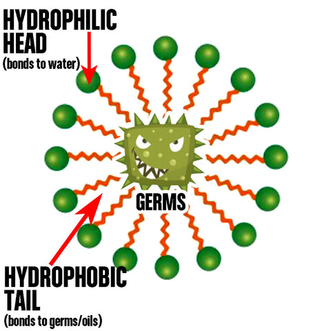 how does soap kill coronavirus covid