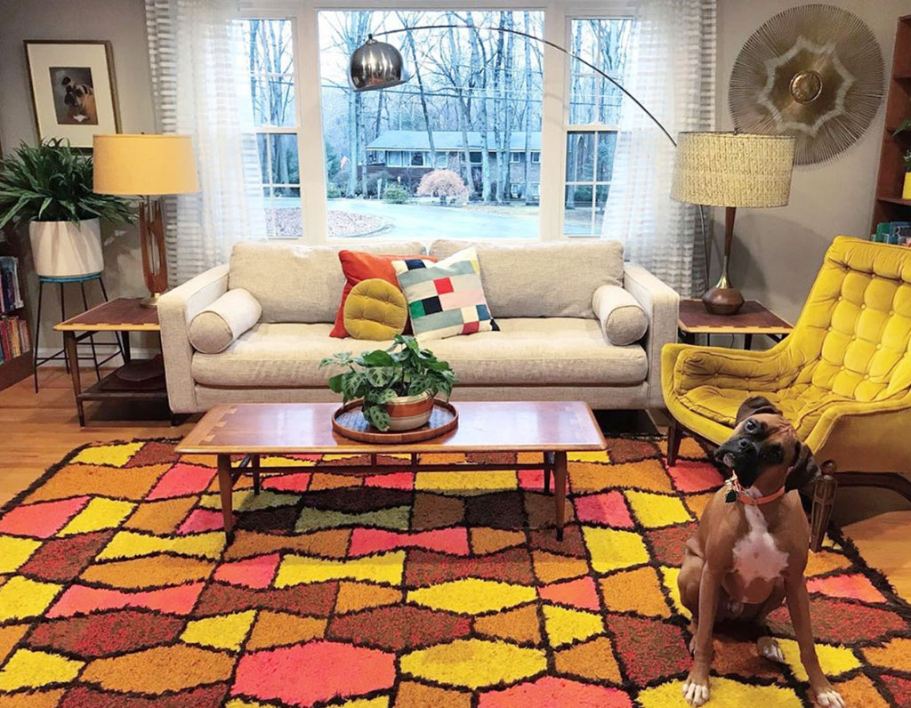 House Tour: Anna’s Colourful Mid Century Modern Pad with dog