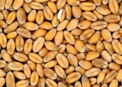 Hessian Sacks Wheat Grain