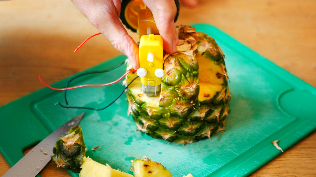 A Smartibot motor held into a recess cut into the pineapple with two nails