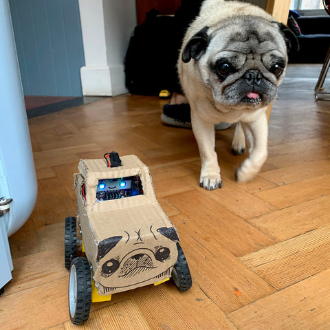 Photo of a cardboard monster truck that looks like a pug and a pug that looks like the monster truck