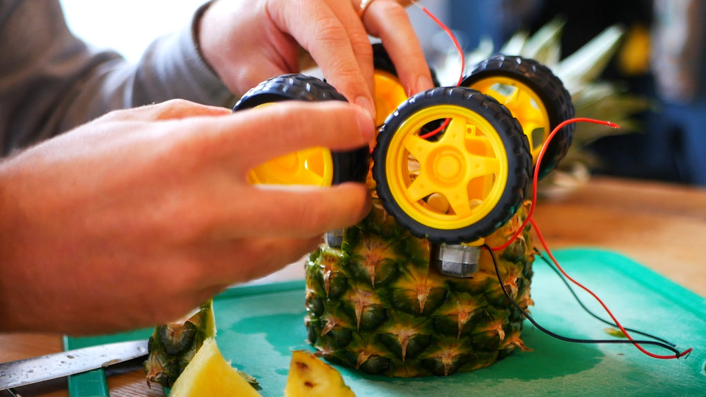 A yellow plastic wheel is attached to a motor on the pineapple. Three other wheels have already been attached.