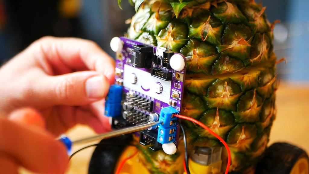 A screw driver doing up a screw terminal with a red and black wire in, on a Smartibot circuit board