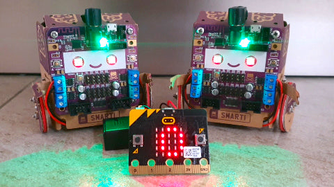 Image of a purple and brown coloured cardboard robot and a black and yellow BBC micro:bit.