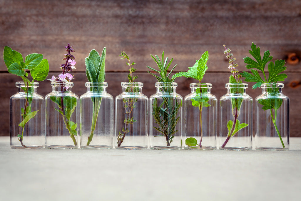 essential oils plant jars