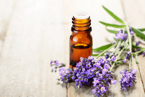 bottle of essential oils sitting next to lavender on table