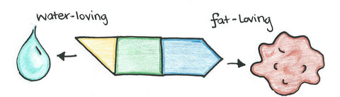 anionic surfactant