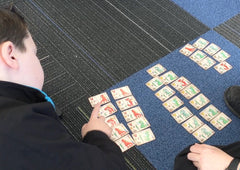 Students arranging dragon cards in groups