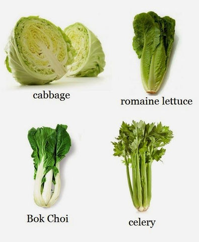 Celery, Lettuce, Romaine Lettuce and Bok Choy - Sound Oracle's  Horror Kitchen Sound Effects