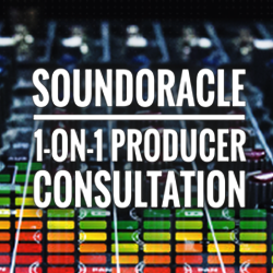 SOUND ORACLE 1-ON-1 PRODUCER CONSULTATION