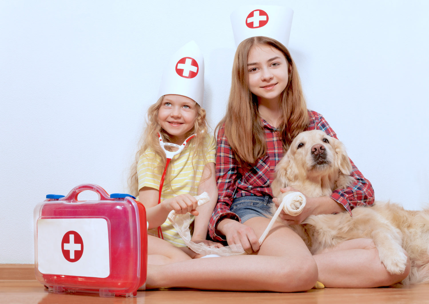 How to Build a Pet First Aid Kit for Your Home, Arrowhead Animal Health Tapes & Wraps for Large and Small Animals