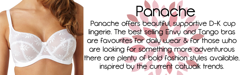 Panache-Lingerie-Banner 