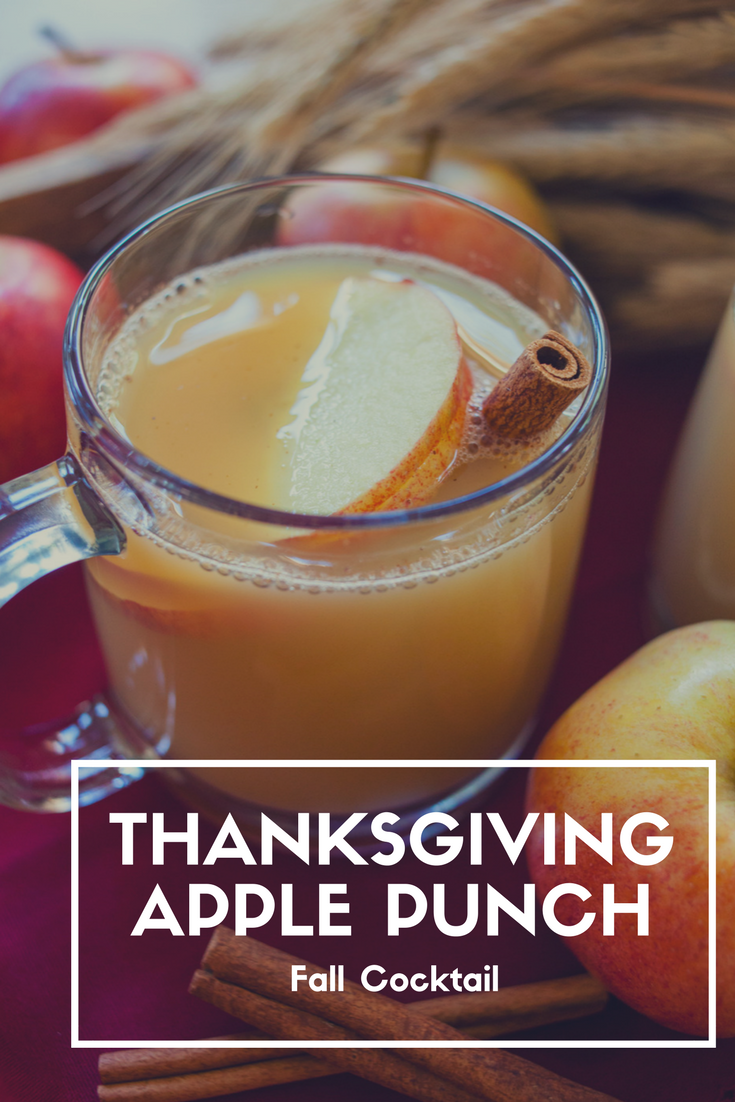 Thanksgiving Apple Punch