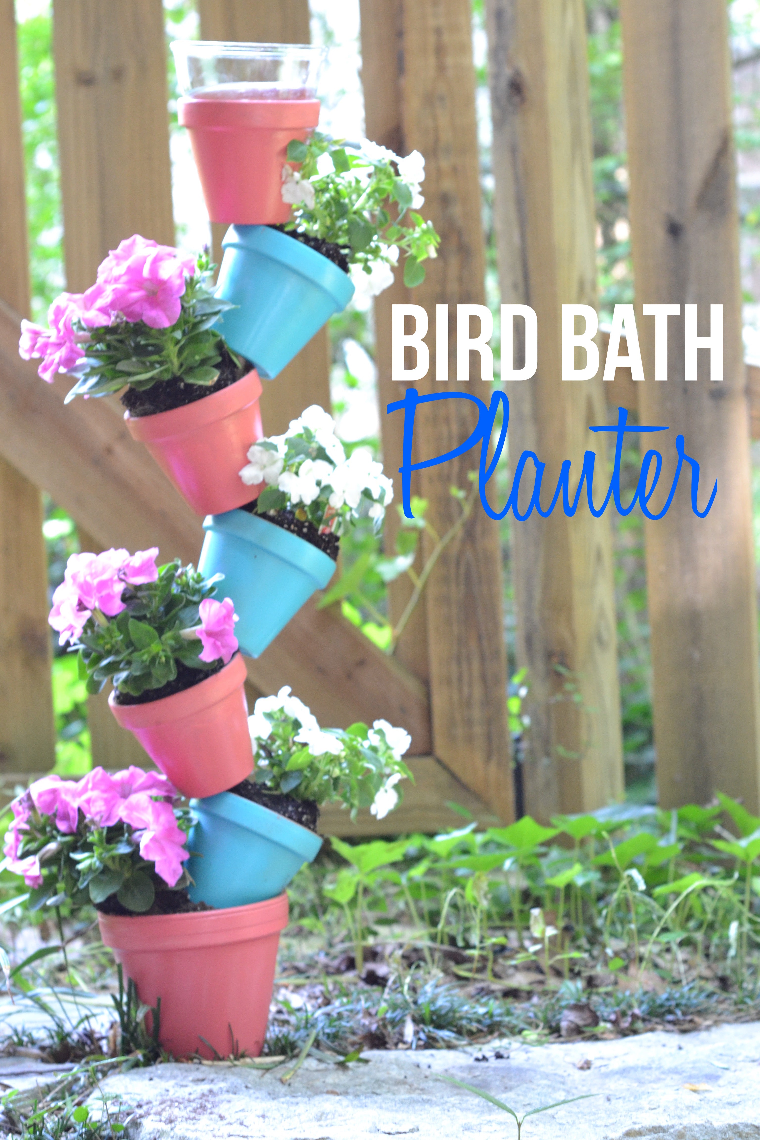 Bird Bath Planter