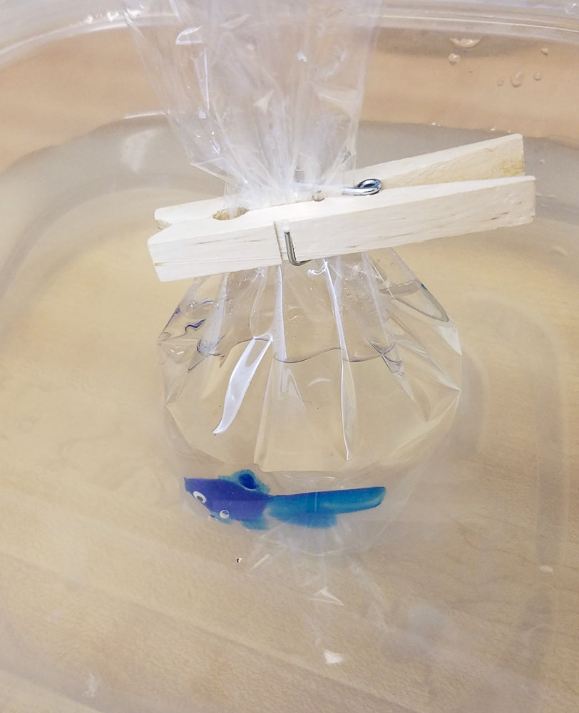 Fish In A Bag Soap