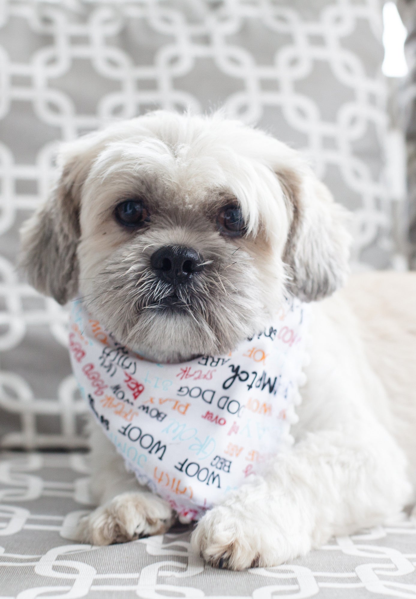 DIY Doggy Bandana