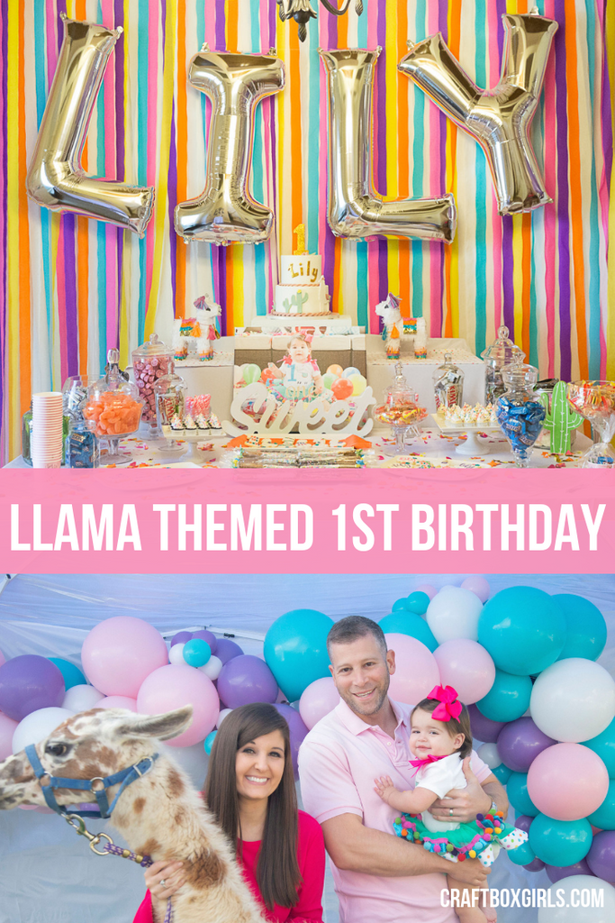 Llama Themed 1st Birthday