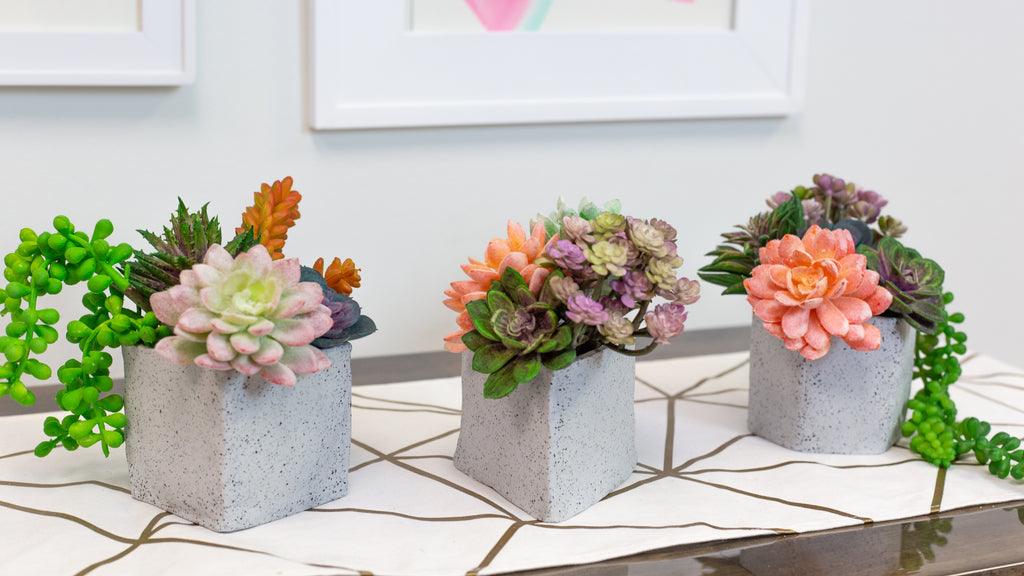 DIY Sculpey Granite Succulent Planters