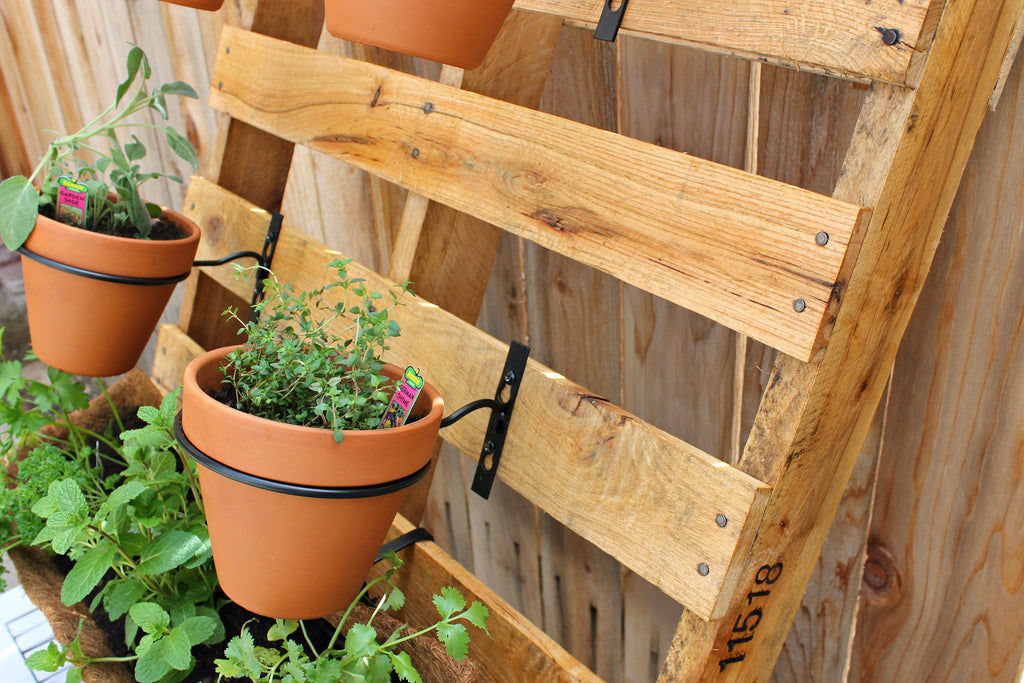 garden pallet 6