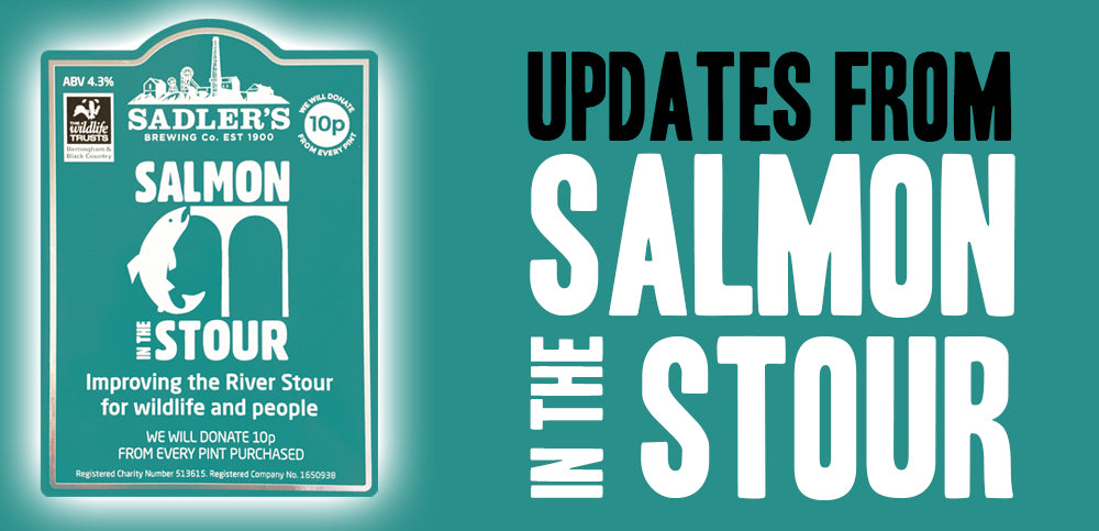 Salmon in the Stour - Charity Updates