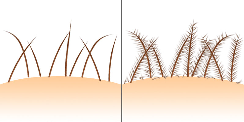 HairLab fibres diagram