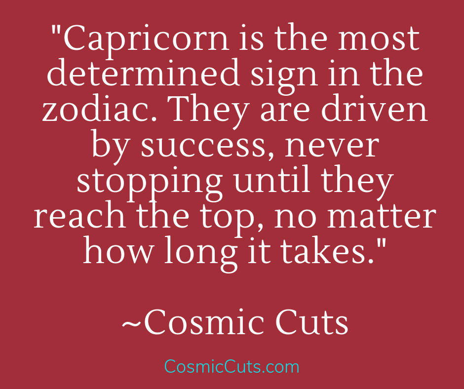 Capricorn Sun Sign and Determination