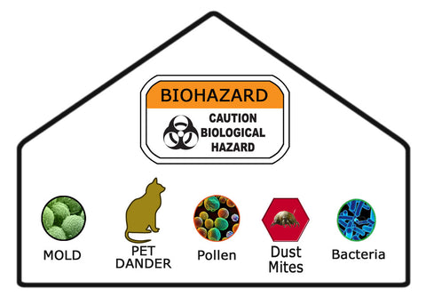 What contaminants are in the air in my home