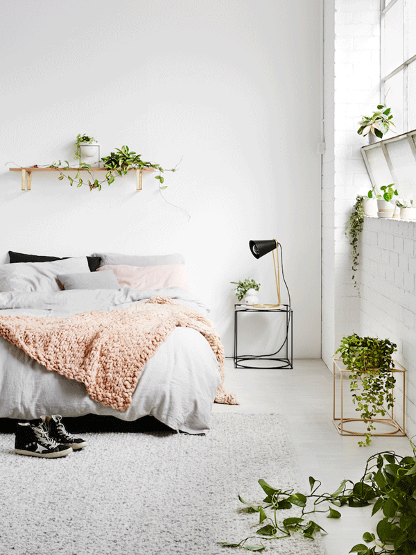 The Best Indoor Plants To Buy