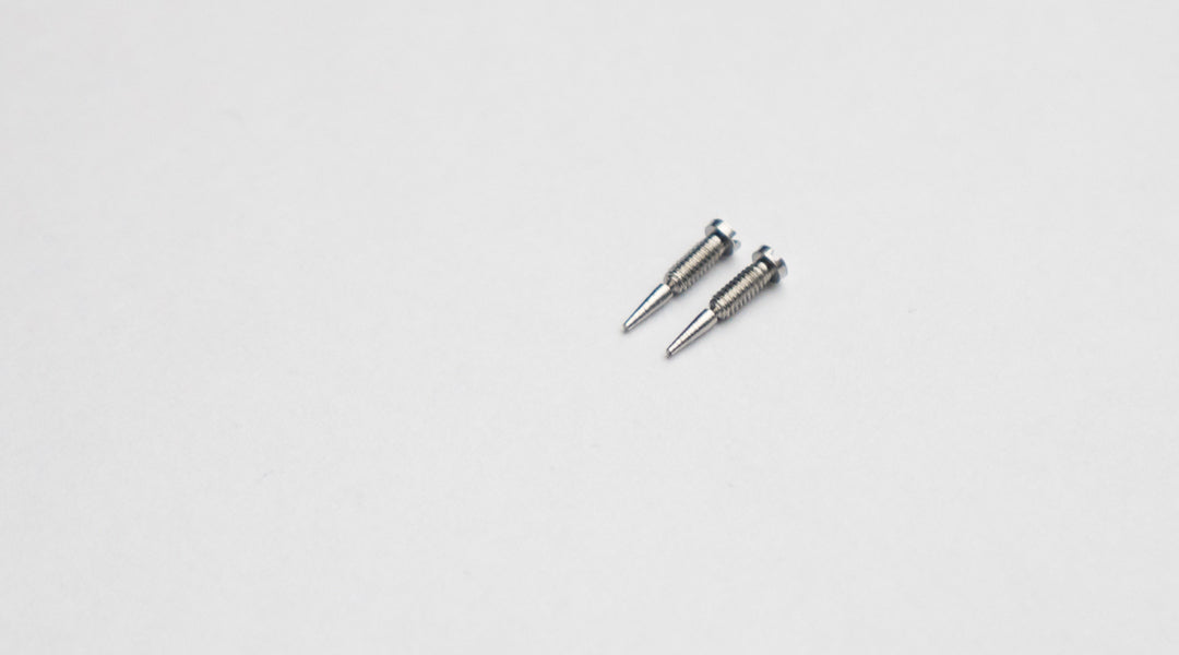 Two metal spectacle screws side by side