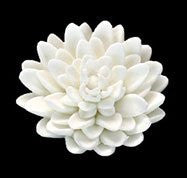 Chrysanthemum - Medium - White Only 32 Count
