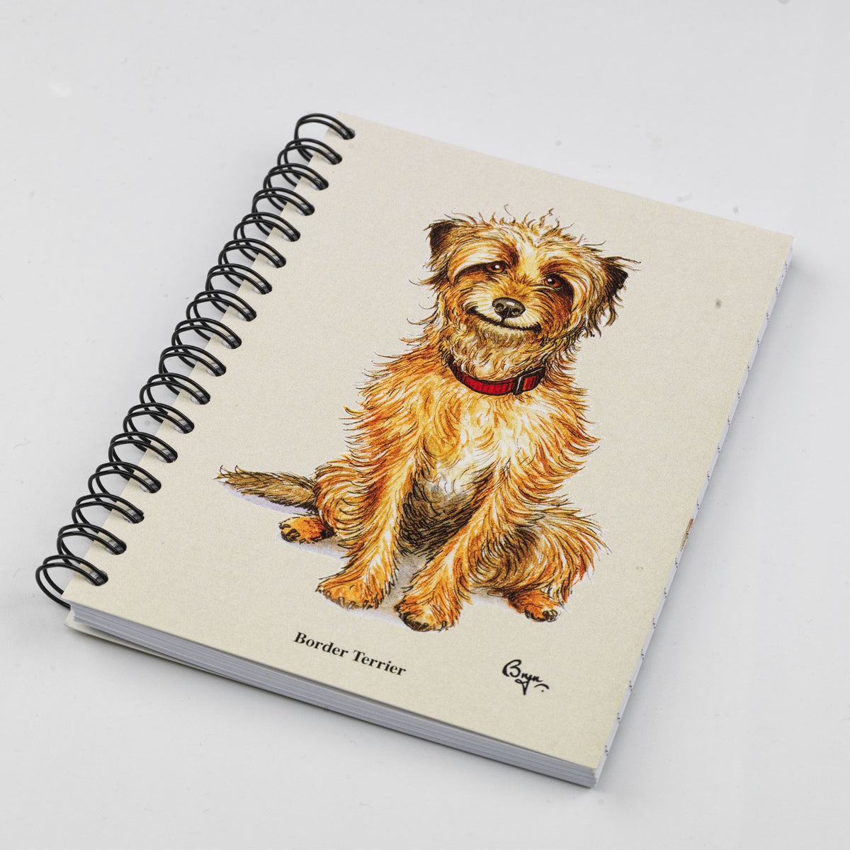 Border Terrier Know Your Dog Cartoon Tea Towel by Dick Twinney 