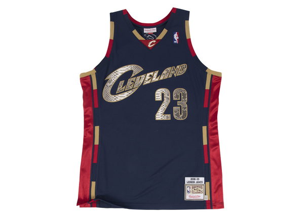 lebron james snakeskin jersey