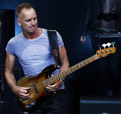 Sting dei Police e solista