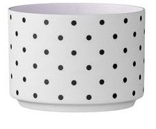 Spotty Votive