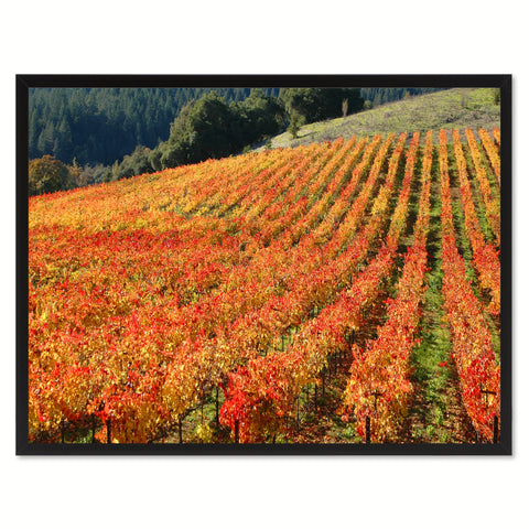Forest Wood Landscape Photo Canvas Print Pictures Frames Home Décor Wall Art Gifts