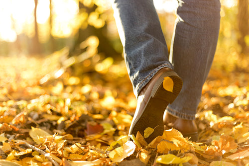 fall season shoes