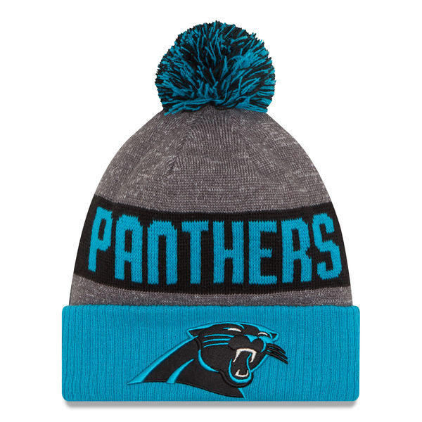 nfl panthers beanie