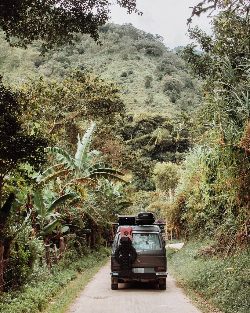 Van in the jungle - Peter and Shruthi from Holiday at See 