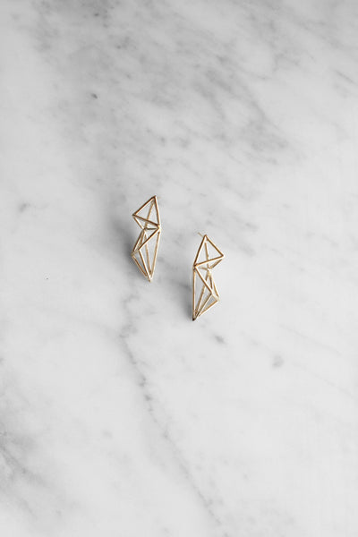 Poly Struc earrings