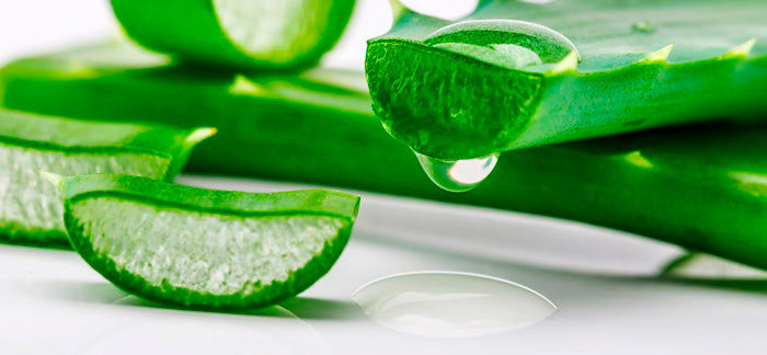 beneficios de utilizar cosméticos aloe vera