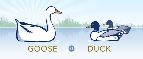 Hungarian Goose Down verse Duck Down