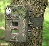 Trail camera in place